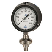 Diaphragm Seal Gauges